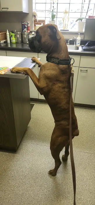 Jefferson Veterinary Hospital Picture 5
