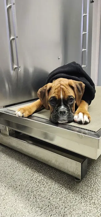 Jefferson Veterinary Hospital Picture 1