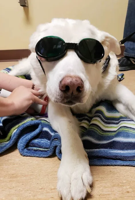 Companions First Vet Clinic Picture 10