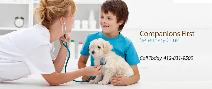 Companions First Vet Clinic Picture 6