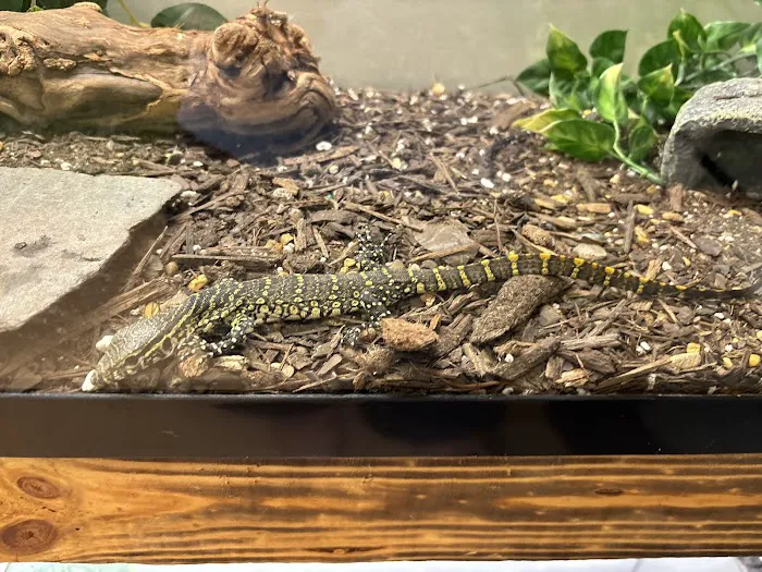 Exotic Pet Paradise Picture 1