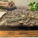 Exotic Pet Paradise
