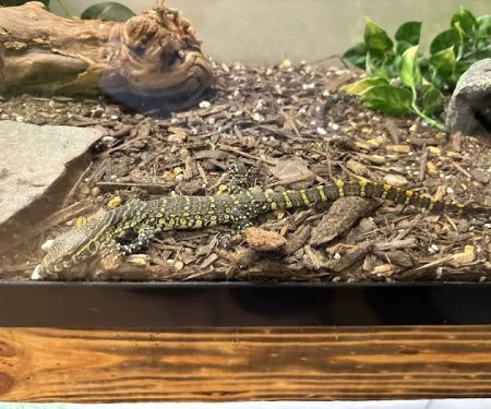 Exotic Pet Paradise