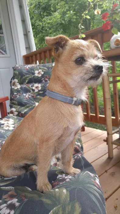 Little Creek Farm Vet Picture 5