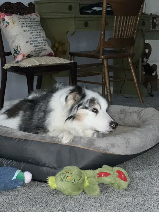 Little Creek Farm Vet Picture 6