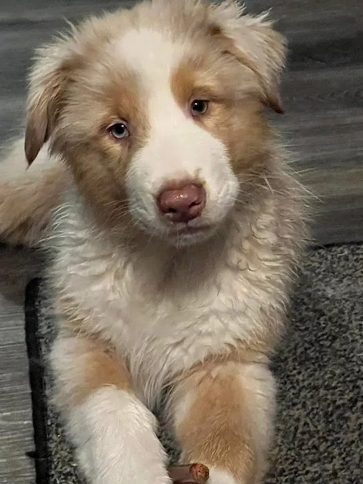 Little Creek Farm Vet Picture 8