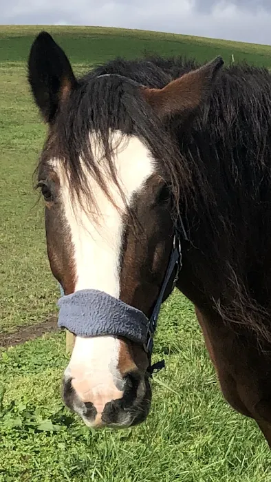 Little Creek Farm Vet Picture 10