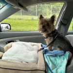 Banfield Pet Hospital