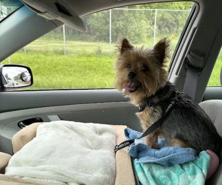 Banfield Pet Hospital