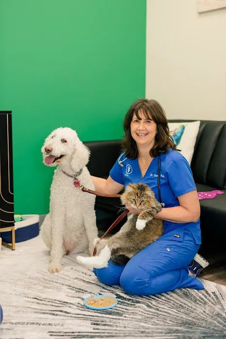 PetVet365 Pet Hospital Pittsburgh / South Hills Picture 7