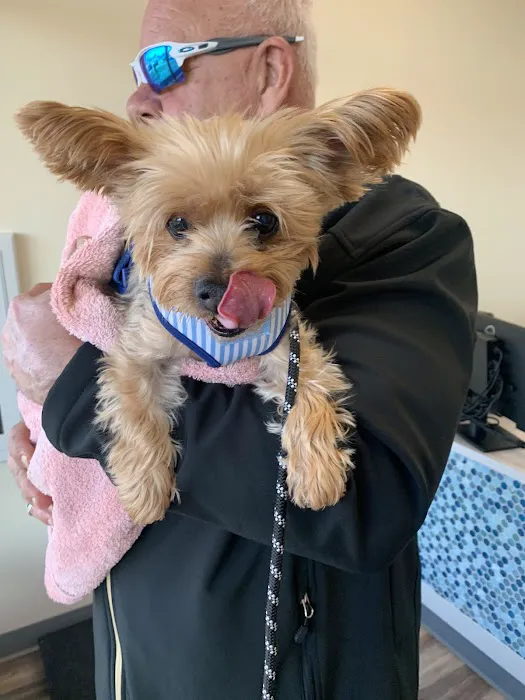 PetVet365 Pet Hospital Pittsburgh / South Hills Picture 1
