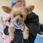 PetVet365 Pet Hospital Pittsburgh / South Hills