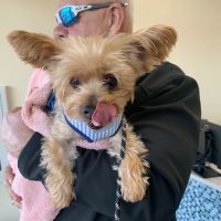 PetVet365 Pet Hospital Pittsburgh / South Hills ico