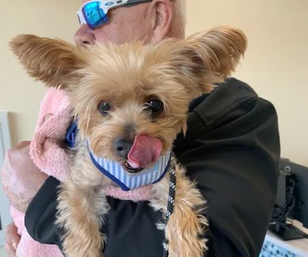 PetVet365 Pet Hospital Pittsburgh / South Hills