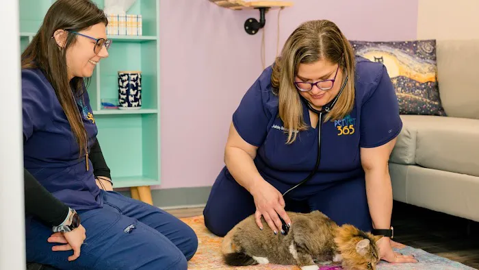 PetVet365 Pet Hospital Pittsburgh / South Hills Picture 5