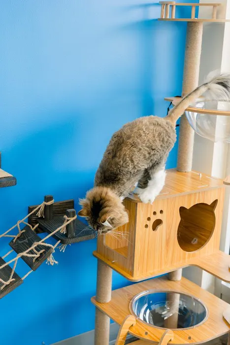 PetVet365 Pet Hospital Pittsburgh / South Hills Picture 2