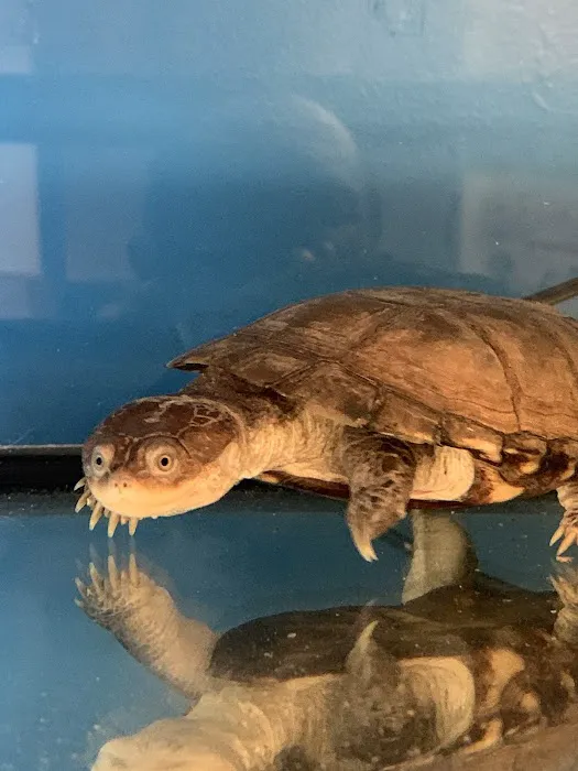 Gordon’s Aquatics LLC Picture 7