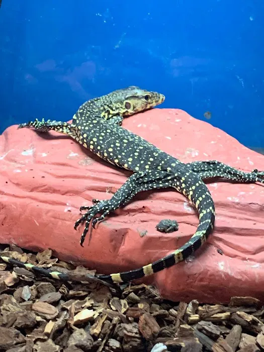 Gordon’s Aquatics LLC Picture 4