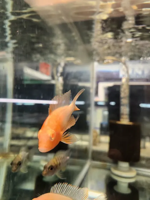 Gordon’s Aquatics LLC Picture 3