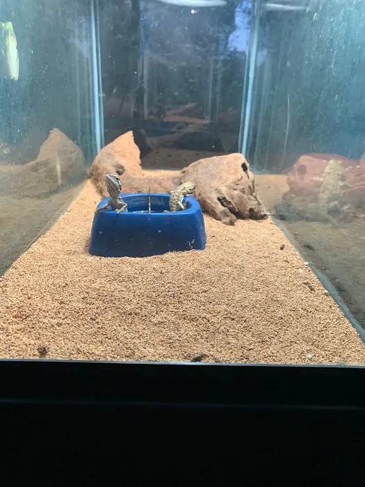 Gordon’s Aquatics LLC Picture 10