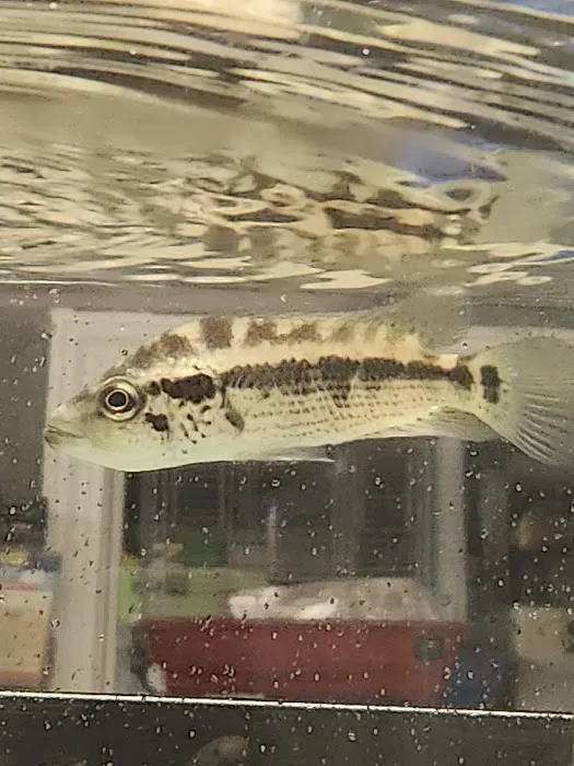 Gordon’s Aquatics LLC Picture 8