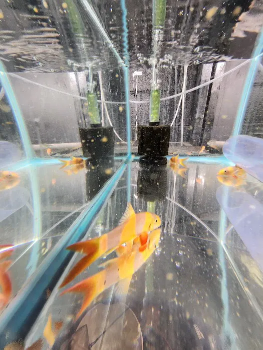 Gordon’s Aquatics LLC Picture 5