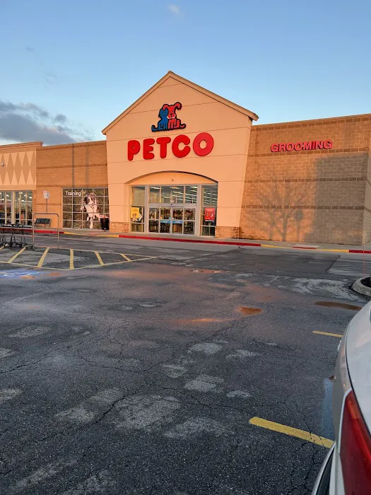 Petco Picture 2