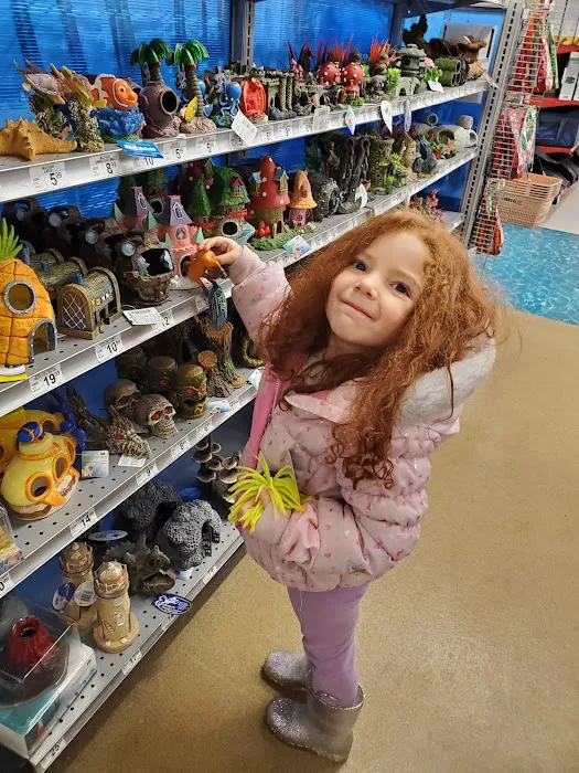 Petco Picture 4