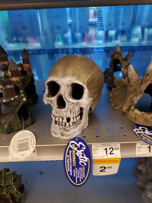 Petco Picture 8