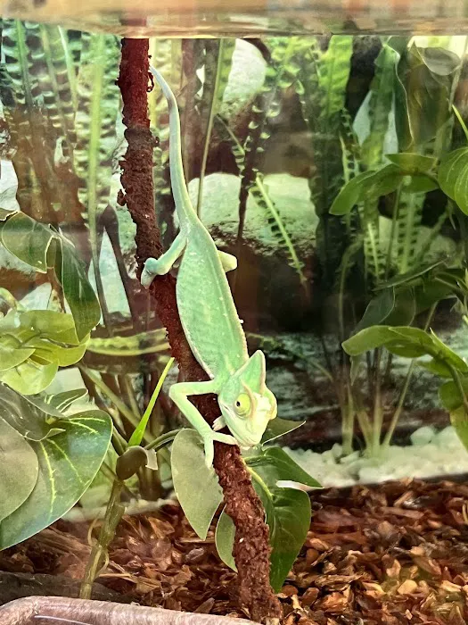 Petco Picture 9