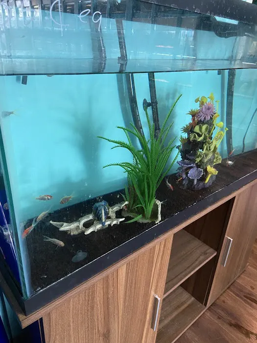 Pet Zone Picture 9