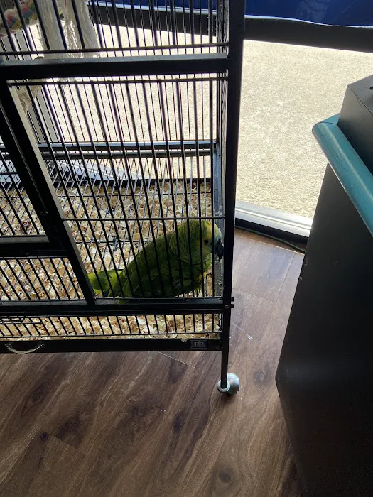 Pet Zone Picture 10