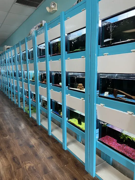 Pet Zone Picture 5