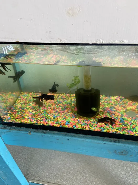 Pet Zone Picture 8