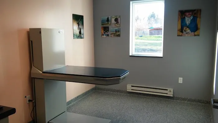 A Step Up Veterinary Clinic Picture 7