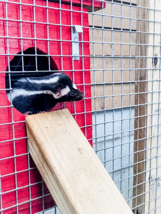 Kokas Exotic Animals Picture 3