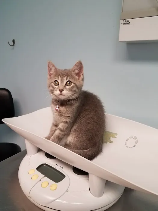 Munhall Veterinary Hospital Picture 8