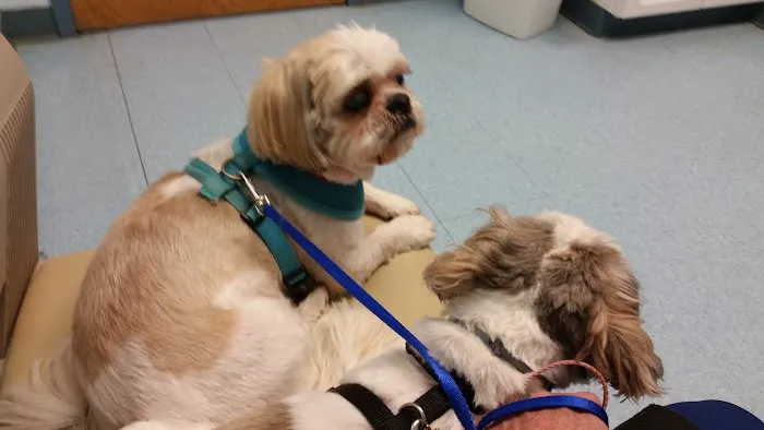 Munhall Veterinary Hospital Picture 5