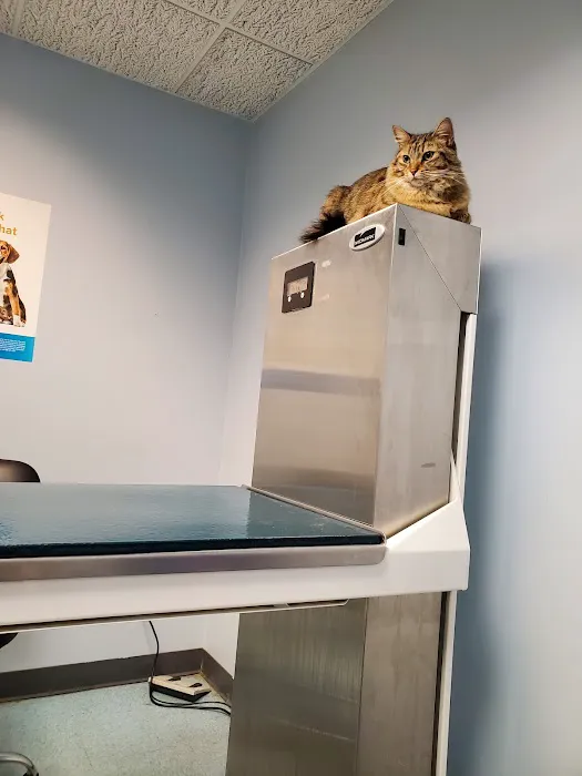 Munhall Veterinary Hospital Picture 2
