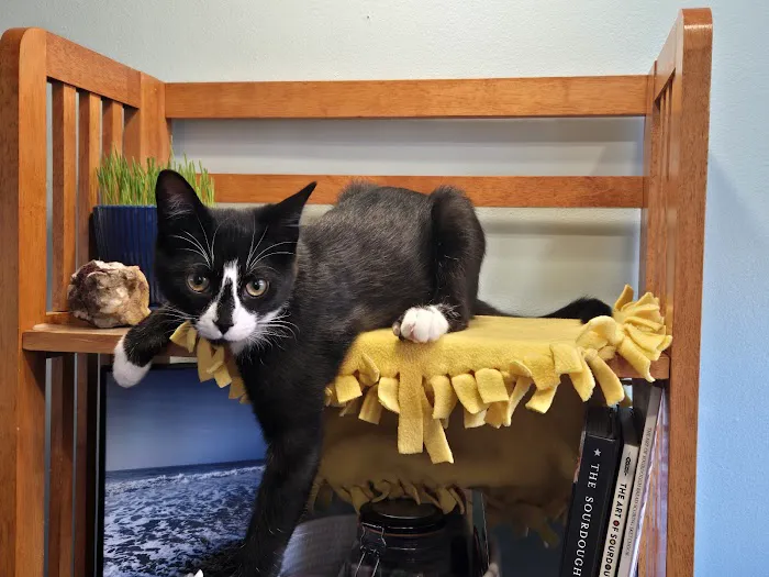 Munhall Veterinary Hospital Picture 3