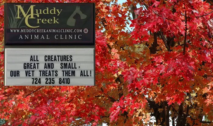 Muddy Creek Animal Clinic, LLC Picture 10