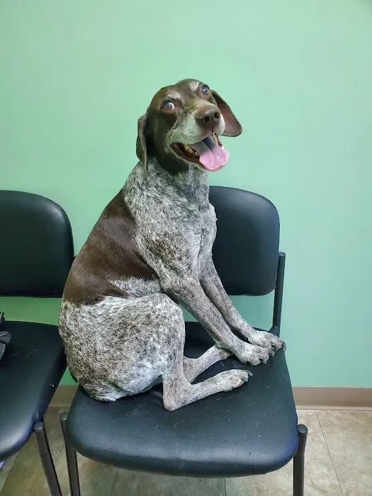 Muddy Creek Animal Clinic, LLC Picture 3
