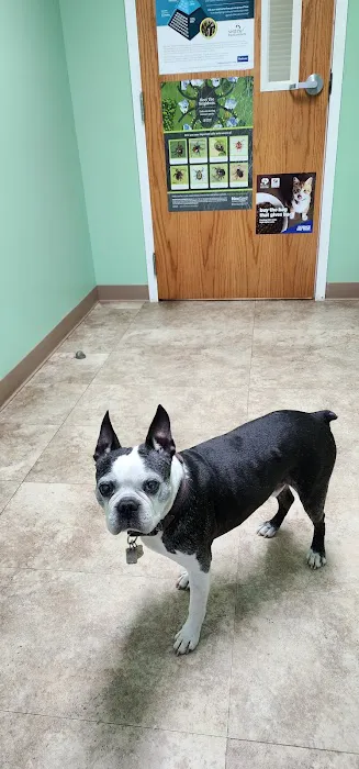 Muddy Creek Animal Clinic, LLC Picture 2