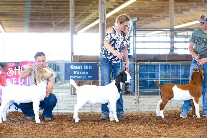 Muddy Creek Animal Clinic, LLC Picture 6