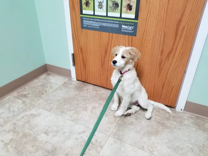 Muddy Creek Animal Clinic, LLC Picture 1