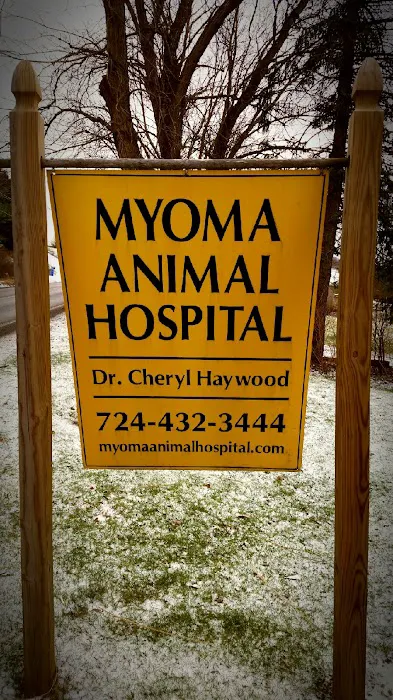 Myoma Animal Hospital Picture 3
