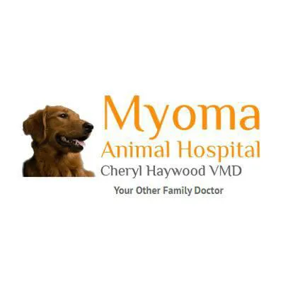 Myoma Animal Hospital Picture 2