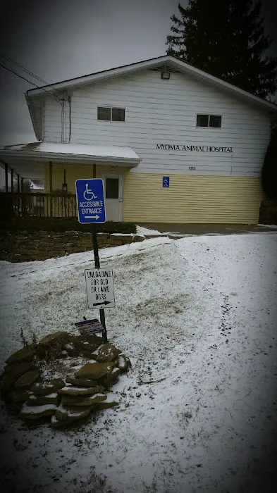 Myoma Animal Hospital Picture 7