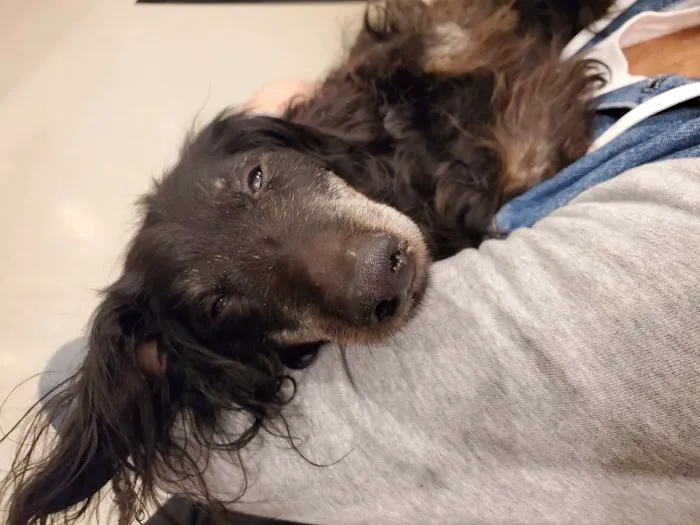 Mars Animal Depot Veterinary Picture 9