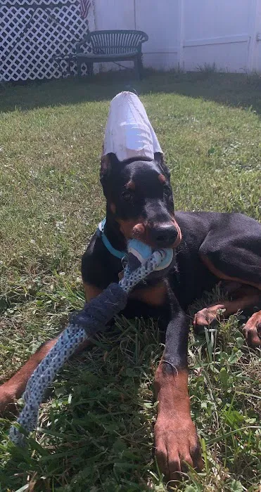 Mars Animal Depot Veterinary Picture 5